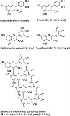 Regulation of Enteric Infection and Immunity by Dietary Proanthocyanidins